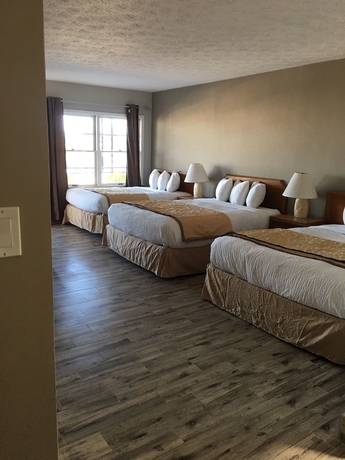 Imagen de la habitación del Hotel Marion Motor Lodge. Foto 6