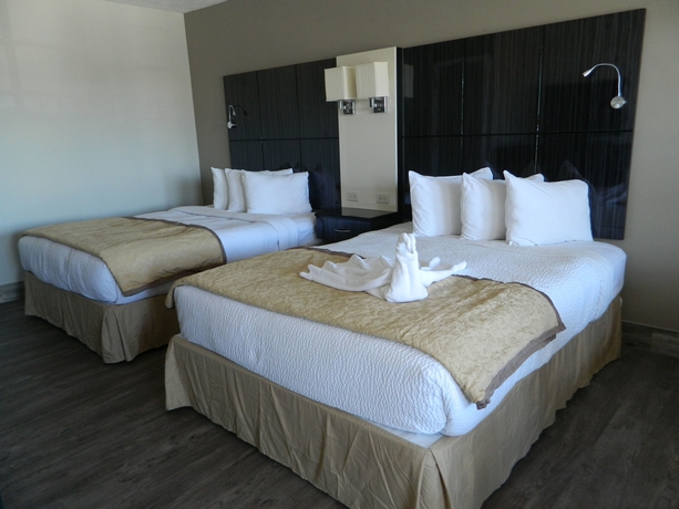 Imagen de la habitación del Hotel Marion Motor Lodge. Foto 12