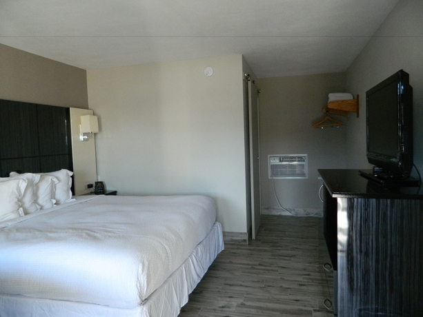Imagen de la habitación del Hotel Marion Motor Lodge. Foto 13