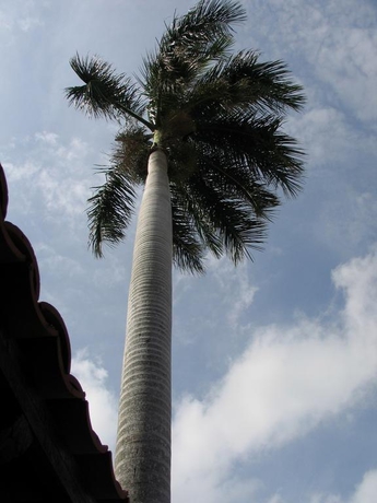 Imagen general del Hotel Marionetas. Foto 5