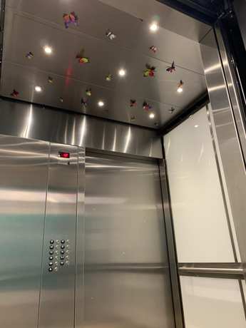 Imagen general del Hotel Mariposa Los Angeles. Foto 1