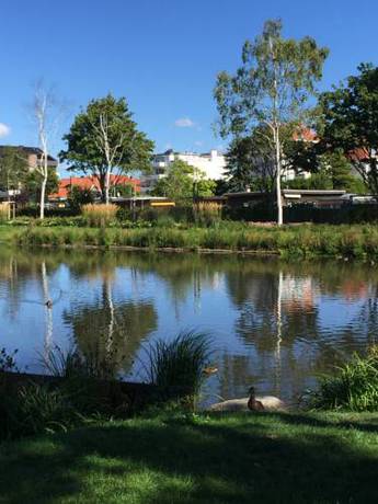 Imagen de la habitación del Hotel Maris, Timmendorfer Strand. Foto 7