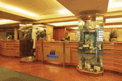 Imagen general del Hotel Maritim Hotel Kaiserhof. Foto 5