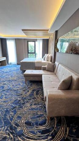 Imagen de la habitación del Hotel Maritimo, Ortahisar. Foto 16