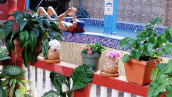 Imagen de la piscina del Hotel Marjenny. Foto 14