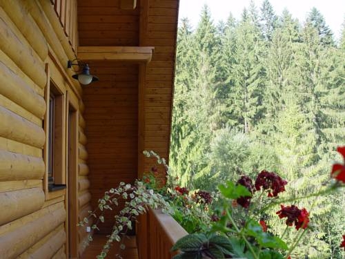 Imagen general del Hotel Marlene. Foto 9