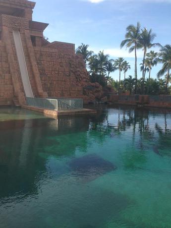 Imagen de los interiores del Hotel Marley Resort and Spa. Foto 6