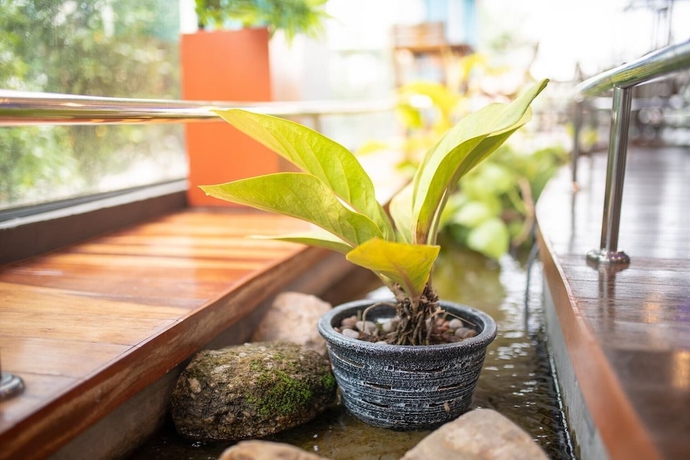 Imagen de los interiores del Hotel Marlin, Surat Thani. Foto 18