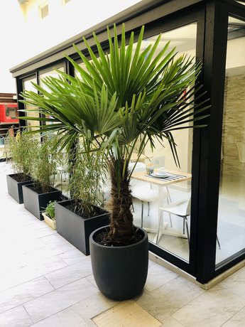 Imagen de los exteriores del Hotel Marmotel Etoile. Foto 13