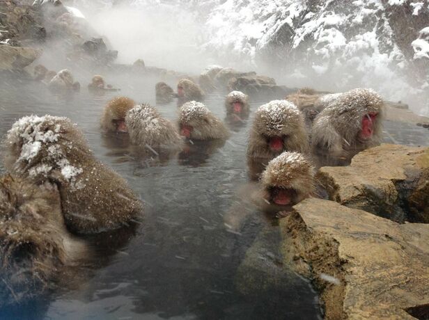 Imagen general del Hotel Maroudo. Foto 3