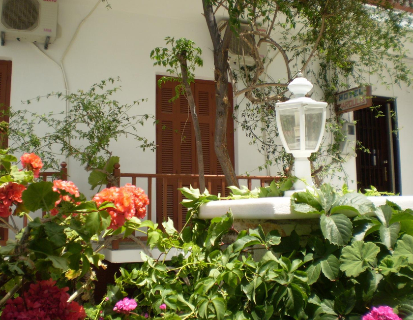 Imagen general del Hotel Maroulis. Foto 13