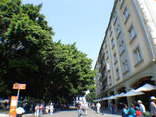 Imagen de los exteriores del Hotel Marques Del Valle. Foto 12