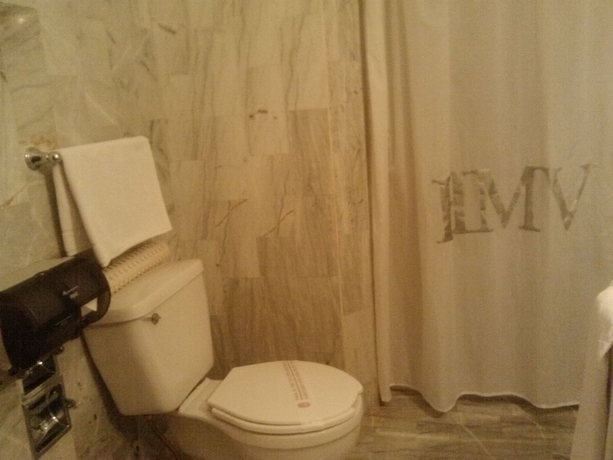 Imagen de la habitación del Hotel Marques Del Valle. Foto 8