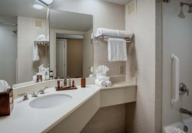 Imagen de la habitación del Hotel Marriott Dallas Las Colinas. Foto 9