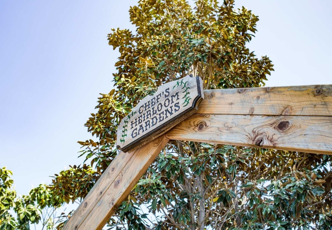 Imagen de los exteriores del Hotel Marriott Napa Valley and Spa. Foto 12