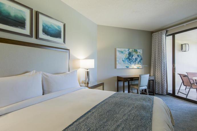 Imagen general del Hotel Marriott Sabal Palms Resort. Foto 4