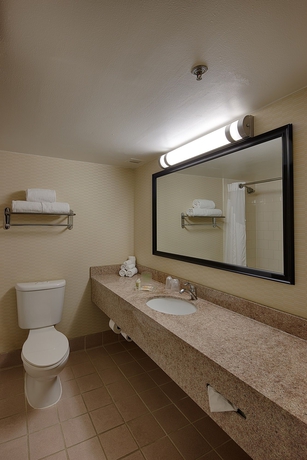 Imagen de la habitación del Hotel Marriott San Antonio Airport. Foto 6