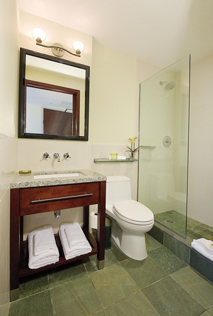 Imagen de la habitación del Hotel Marriott Vacation Club®, New York City. Foto 8