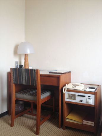 Imagen de los interiores del Hotel Marroad Inn Tokyo. Foto 12