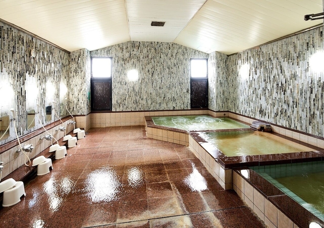 Imagen de la piscina del Hotel Marroad Tsukuba. Foto 17