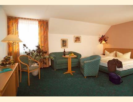 Imagen de la habitación del Hotel Marschall Duroc. Foto 5