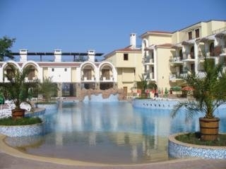 Imagen de la piscina del Hotel Martinez. Foto 12