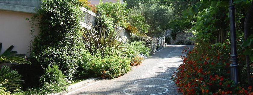 Imagen de los exteriores del Hotel Martino. Foto 11