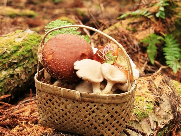 Imagen general del Hotel Marunaka Lodge. Foto 5