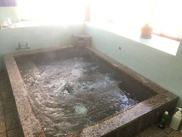Imagen general del Hotel Maruyaso. Foto 3