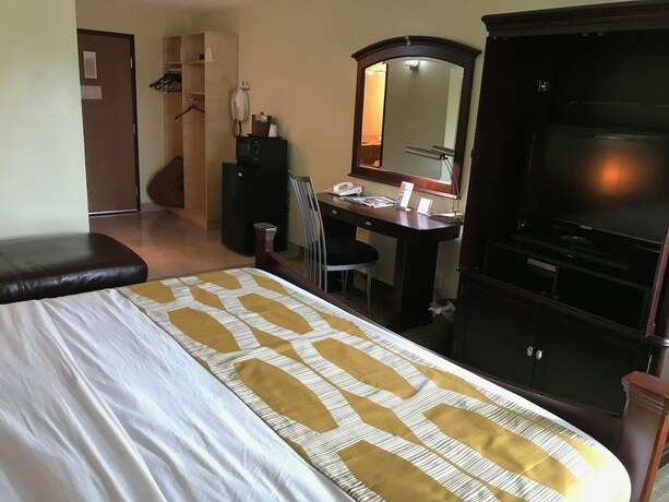 Imagen de la habitación del Hotel Marvin's Garden Inn. Foto 20
