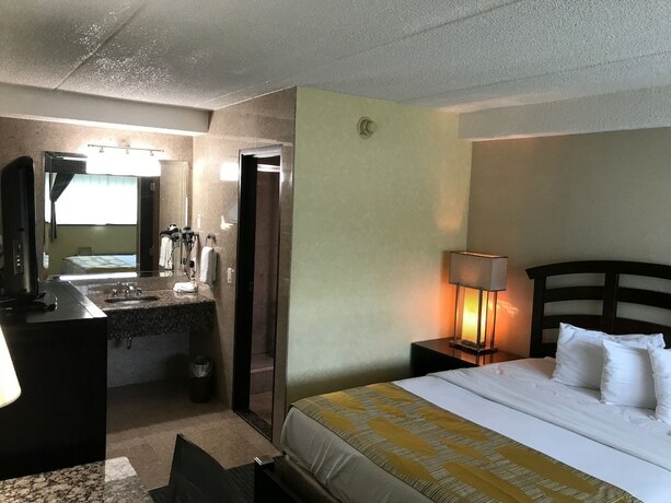 Imagen de la habitación del Hotel Marvin's Garden Inn. Foto 22