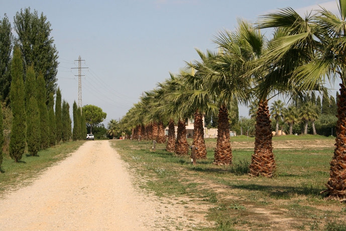 Imagen de los exteriores del Hotel Mas Del Joncar - Guest House. Foto 9