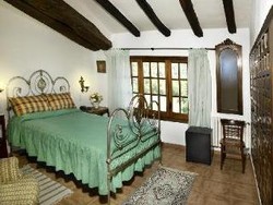 Imagen general del Hotel Mas Salvanera. Foto 5