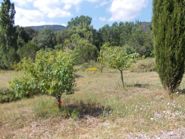 Imagen de los exteriores del Hotel Maset de les Talaveres - Casa de Pagès. Foto 11