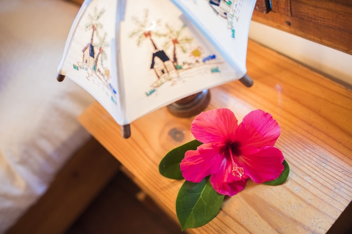 Imagen de la habitación del Hotel Masoandro Lodge. Foto 13