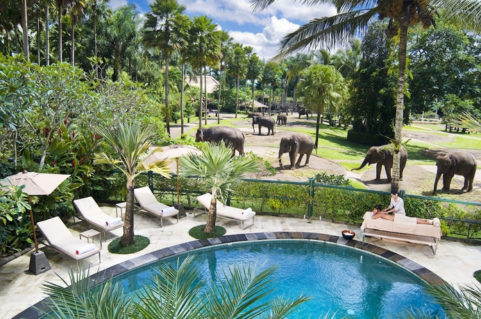 Imagen general del Hotel Mason Elephant Lodge. Foto 1
