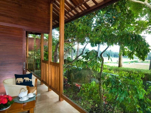 Imagen de la habitación del Hotel Mason Elephant Lodge. Foto 12