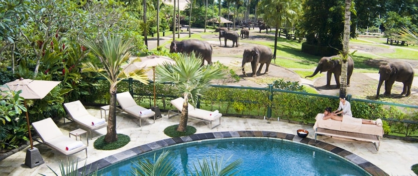 Imagen de la piscina del Hotel Mason Elephant Lodge. Foto 18