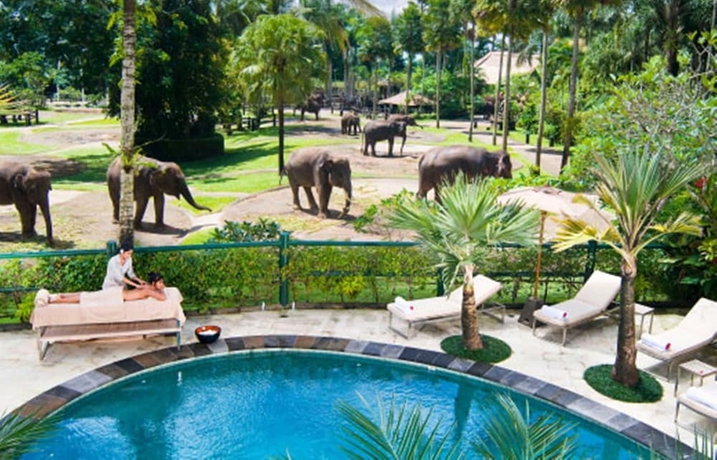 Imagen de la piscina del Hotel Mason Elephant Lodge. Foto 19