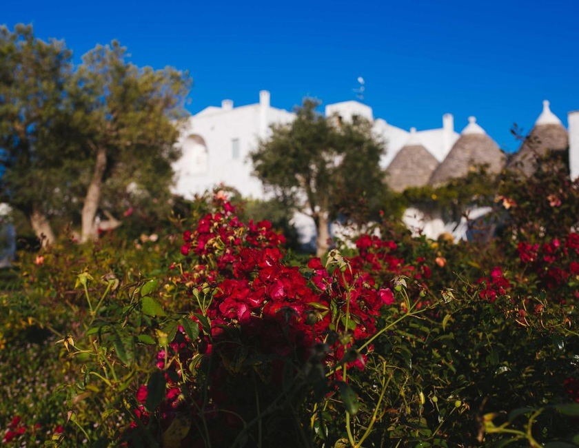 Imagen general del Hotel Masseria Cervarolo. Foto 19