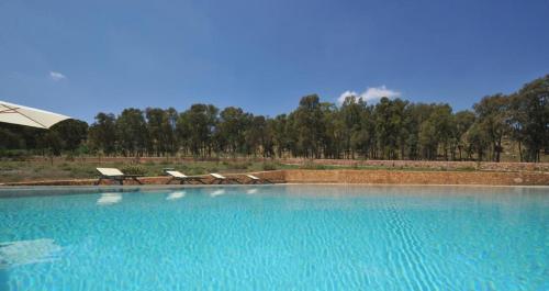 Imagen de la piscina del Hotel Masseria Pizzofalcone. Foto 5