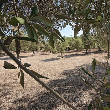 Imagen de los interiores del Hotel Masseria Resort Le Pajare. Foto 15