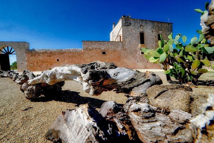Imagen de los interiores del Hotel Masseria Tutosa. Foto 17