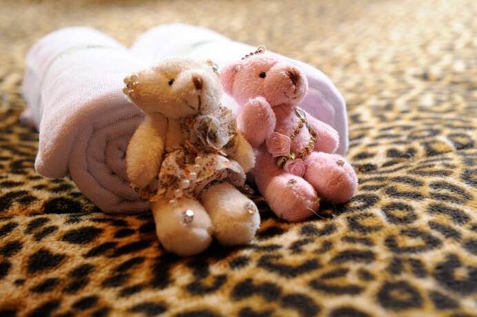 Imagen general del Hotel Master Bear Resort. Foto 4