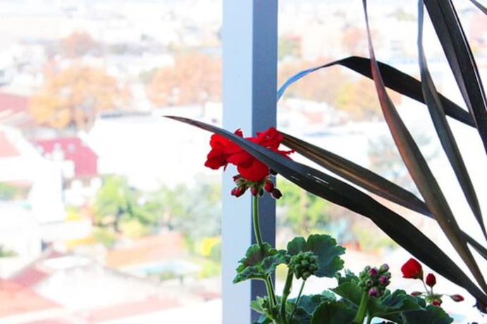 Imagen de la habitación del Hotel Master Suite Devoto. Foto 8