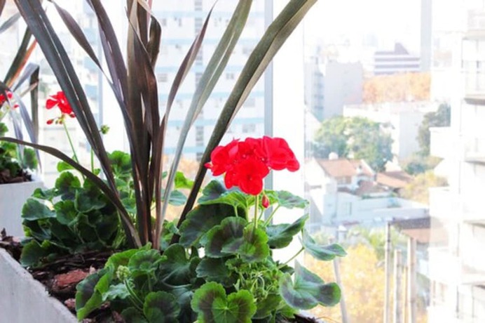 Imagen de la habitación del Hotel Master Suite Devoto. Foto 15