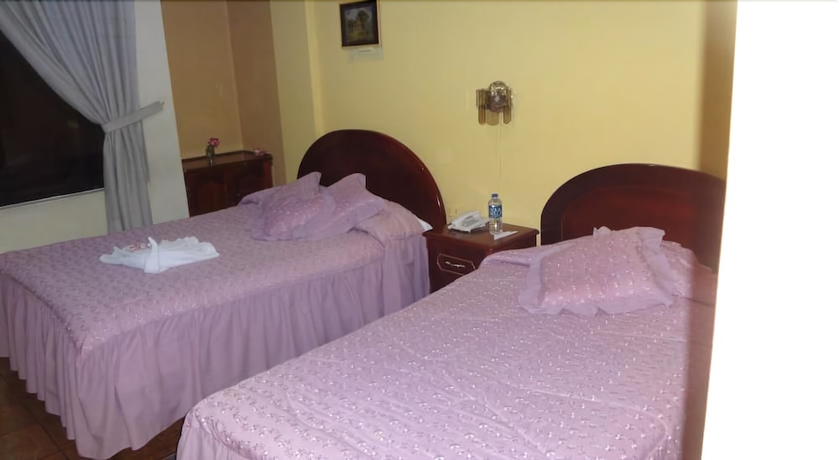 Imagen de la habitación del Hotel Master's Suite. Foto 13