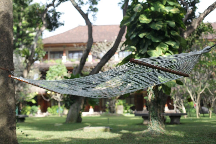 Imagen de los exteriores del Hotel Matahari Bungalow. Foto 14