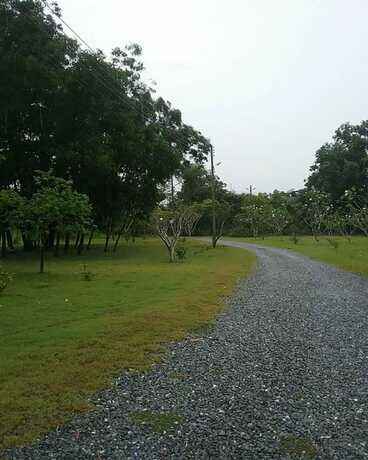 Imagen general del Hotel Matharak Resort Kaeng Hin Poeng. Foto 12