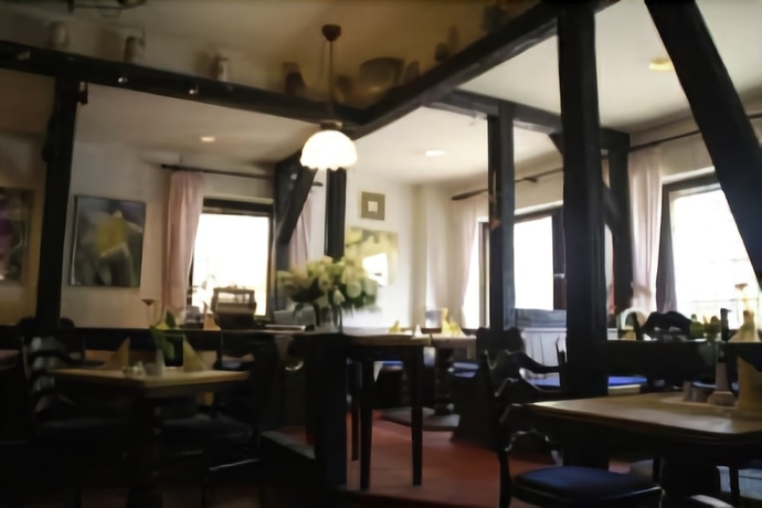 Imagen del bar/restaurante del Hotel Matheisen. Foto 6